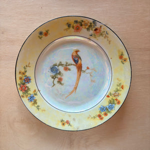 Early 1900’s Pheasant China Plate