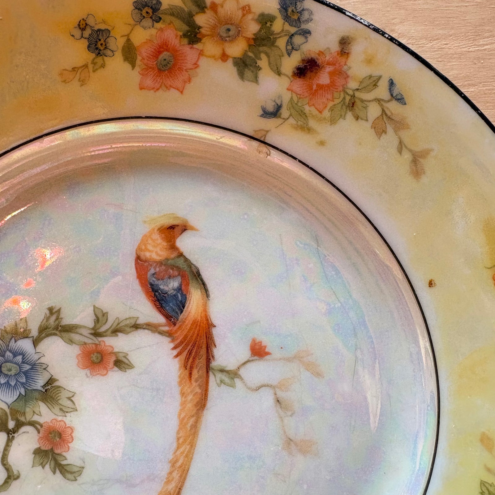 Early 1900’s Pheasant China Plate