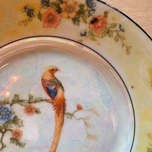 Early 1900’s Pheasant China Plate