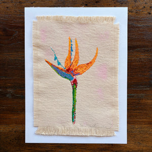 Emily Shipman - Finding Paradise V